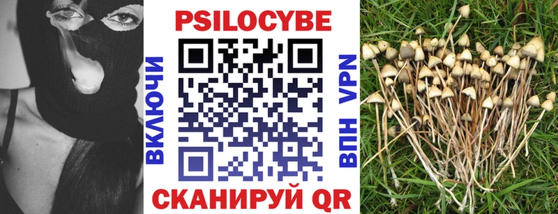 Галлюциногенные грибы мицелий  Чекалин 